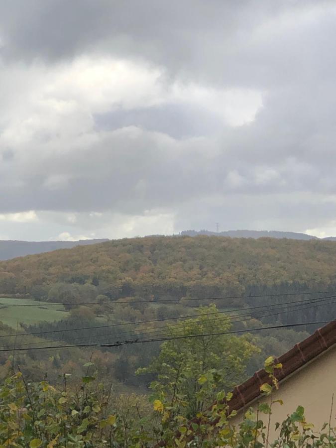 Ferme Fleurie Bergesserin Exterior foto