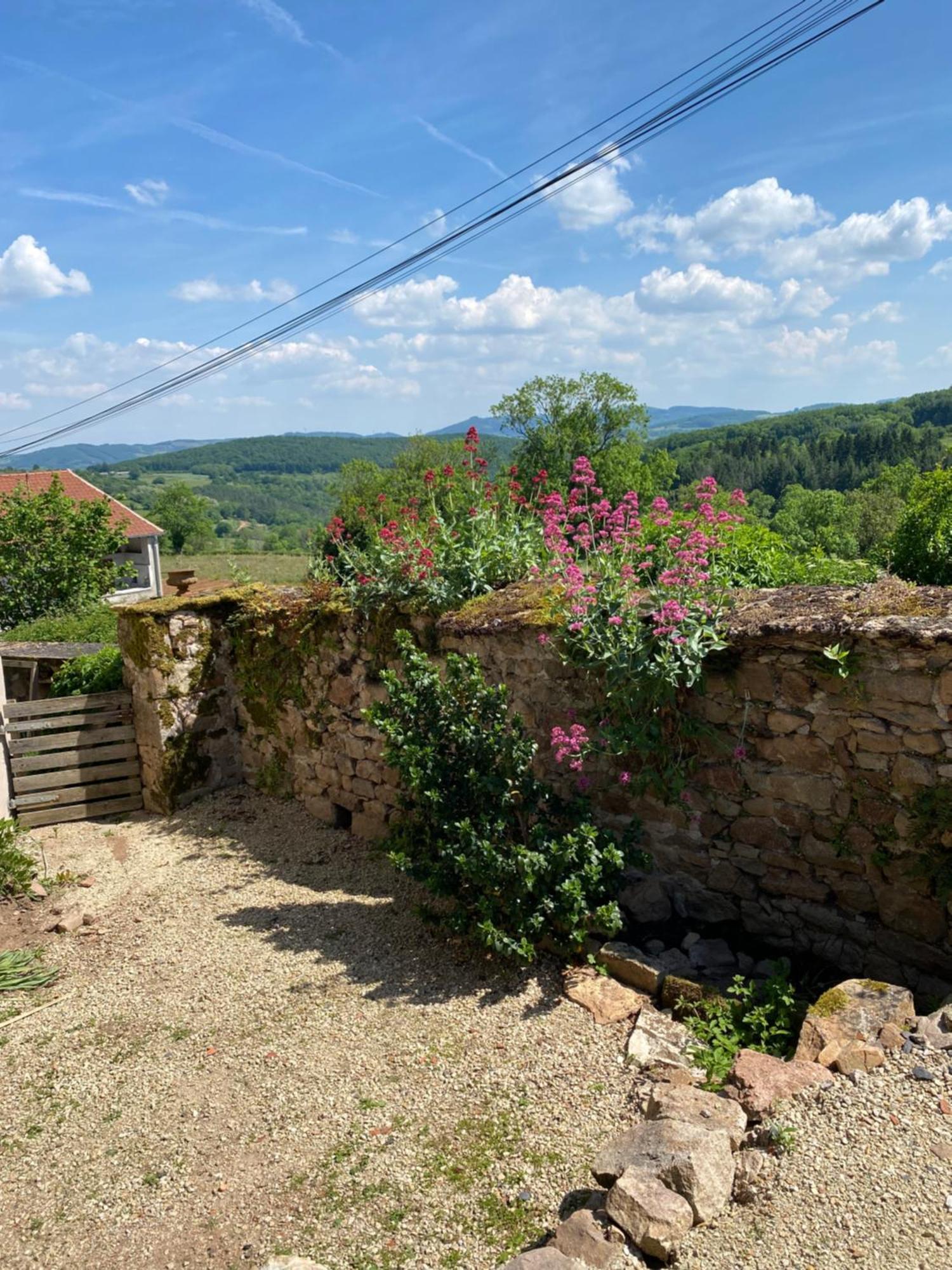 Ferme Fleurie Bergesserin Exterior foto