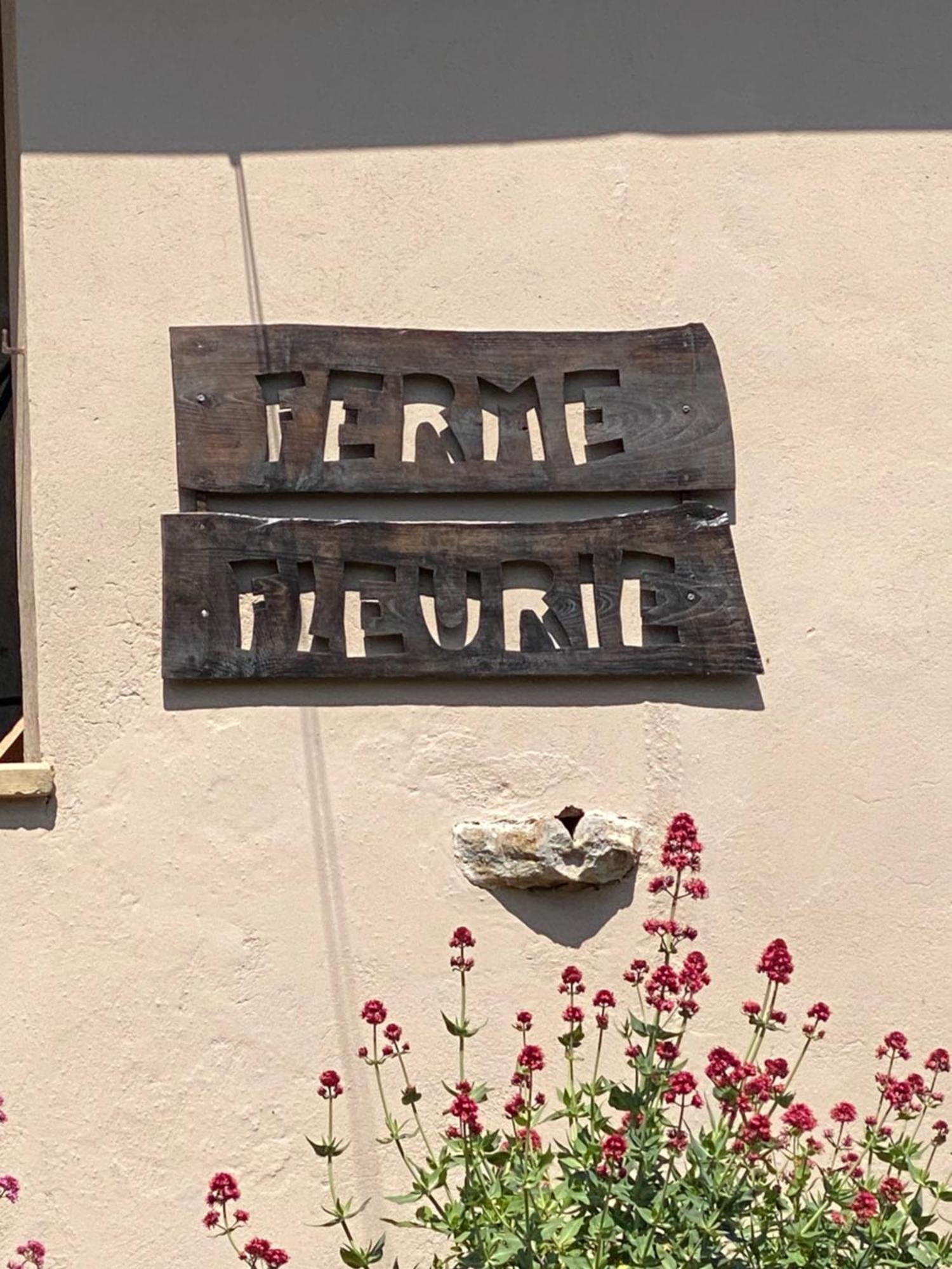 Ferme Fleurie Bergesserin Exterior foto