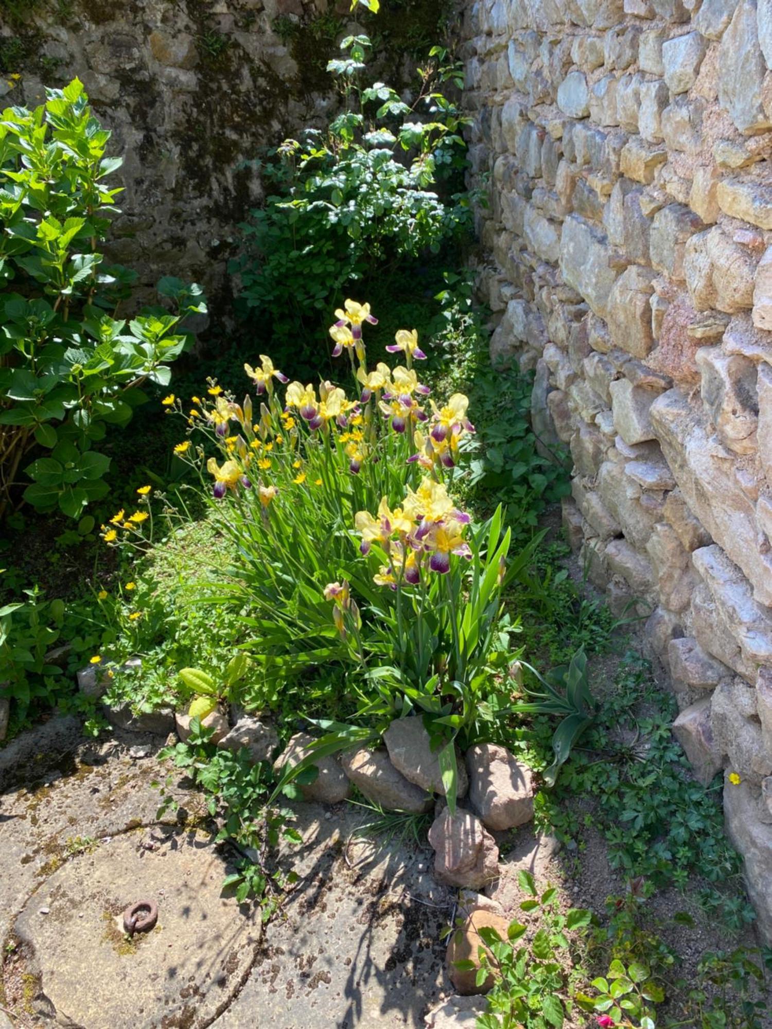 Ferme Fleurie Bergesserin Exterior foto